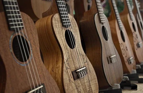 Ukulele Buying Guide: How to Choose the Right One for You - Music Planet NZ