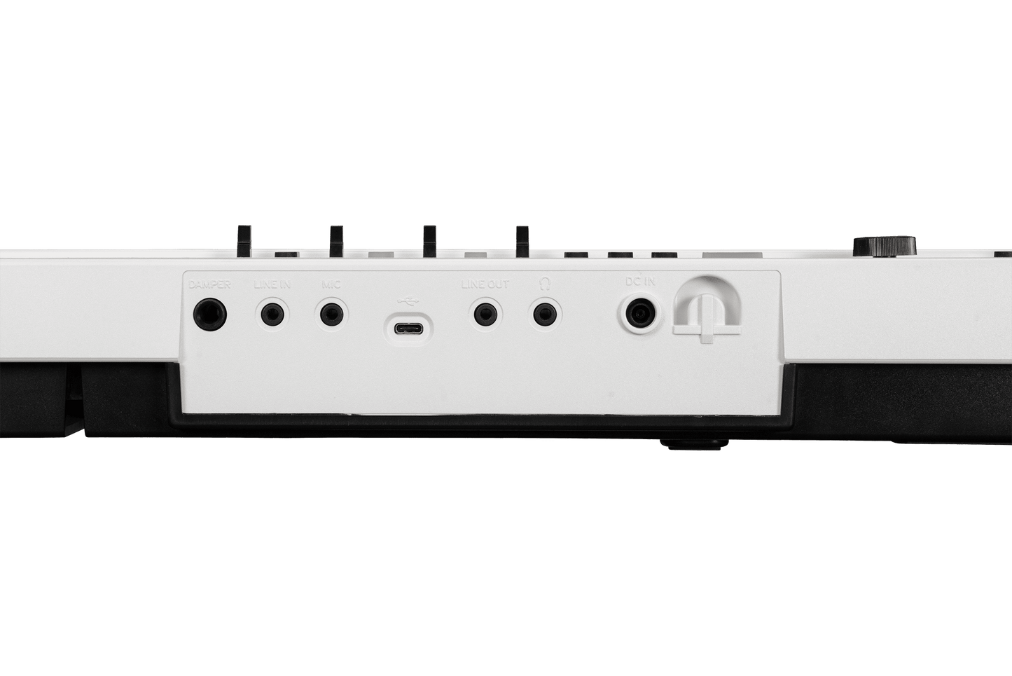 Korg Liano LIVE! Digital Piano - Livestream‑Ready Piano - Music Planet NZ