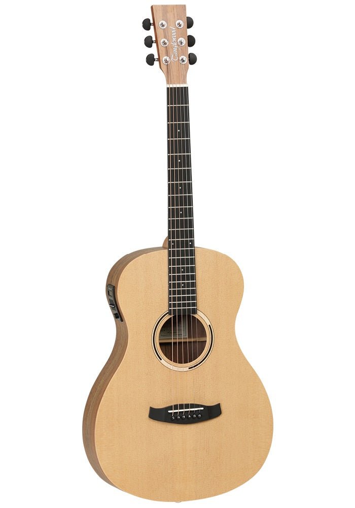 TANGLEWOOD DISCOVERY PARLOUR GUITAR - Music Planet New Zealand