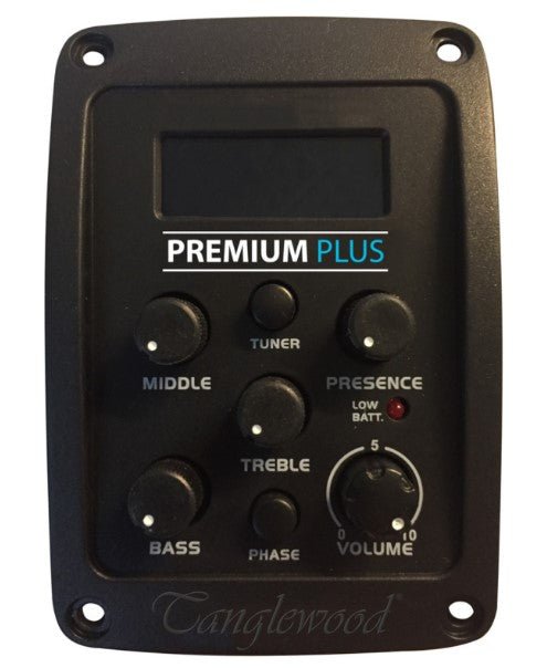 TANGLEWOOD TW8 ACOUSTIC BASS W/SOLID SPR - Music Planet New Zealand