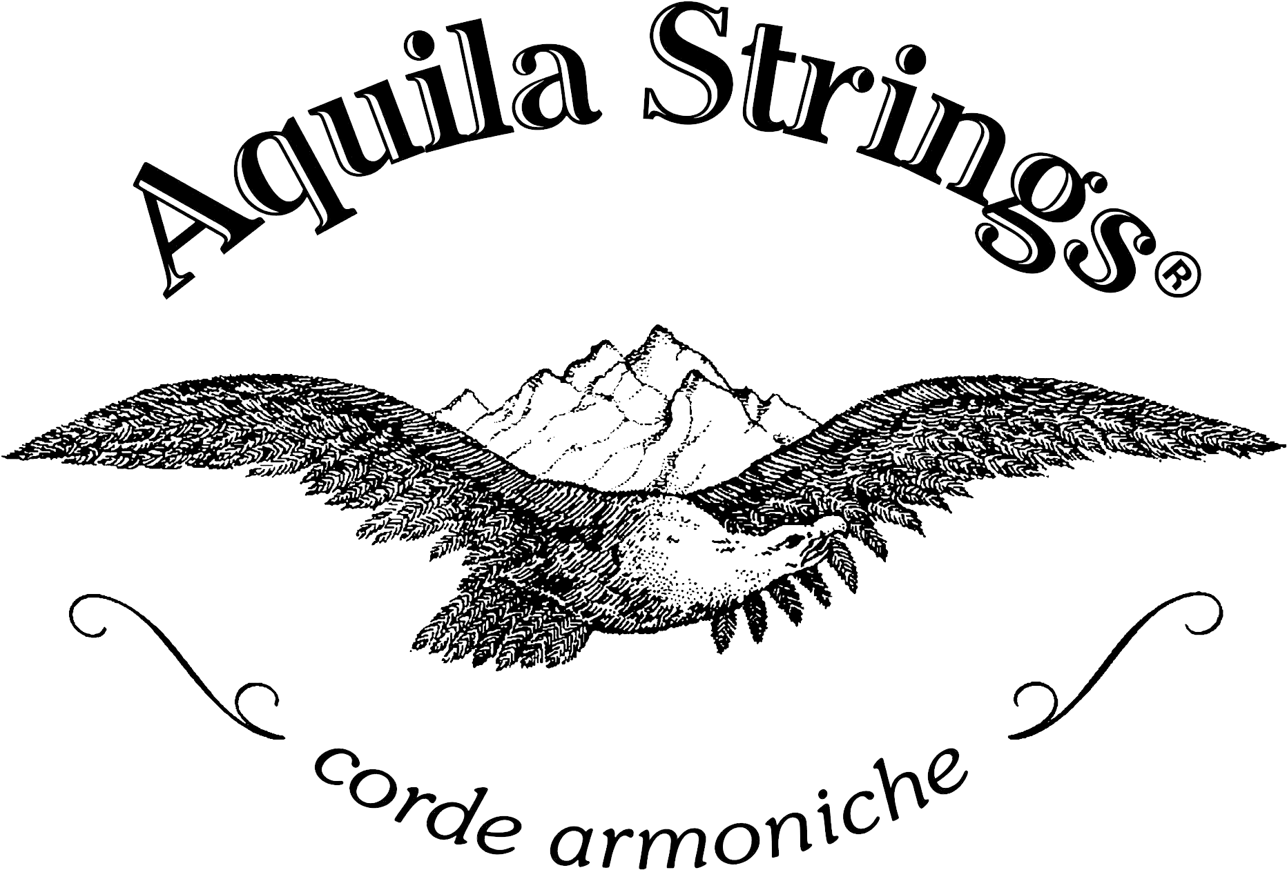 Aquila Strings - Music Planet New Zealand