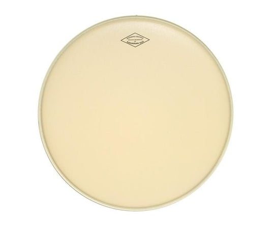 AQUARIAN 10 INCH MODERN VINTAGE TOM HEAD - Music Planet New Zealand