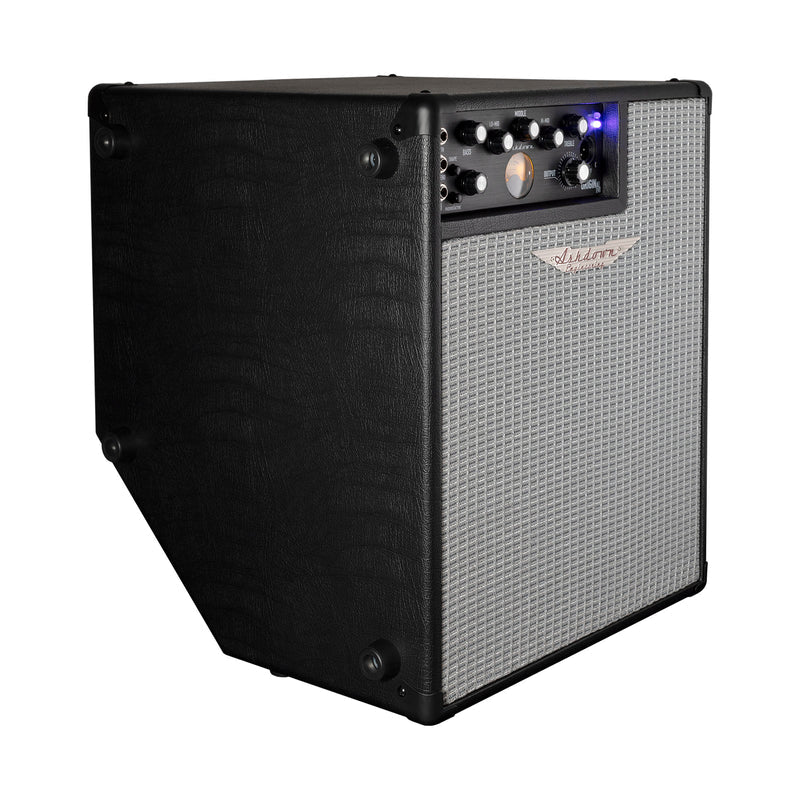 Ashdown OriginAL C112 300 Lightweight Combo Amp - Music Planet NZ