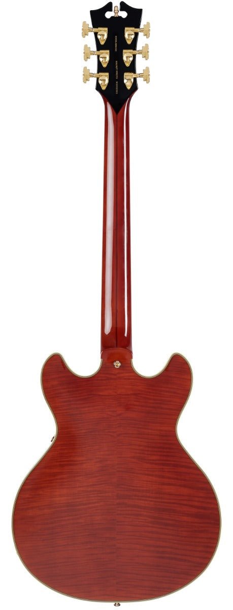 DÁNGELICO EXCEL MINI DC STOP BAR IN VIOLA - Music Planet New Zealand