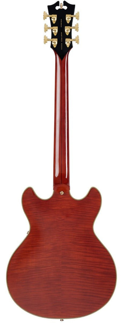 DÁNGELICO EXCEL MINI DC STOP BAR IN VIOLA - Music Planet New Zealand