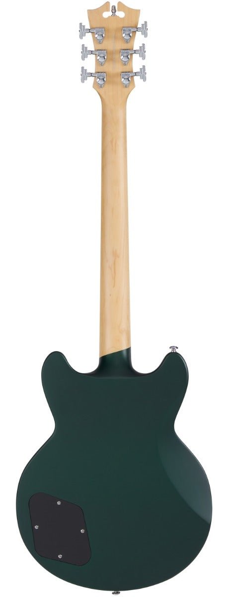 D'ANGELICO PREMIER BRIGHTON SHERWOOD GREEN - Music Planet New Zealand