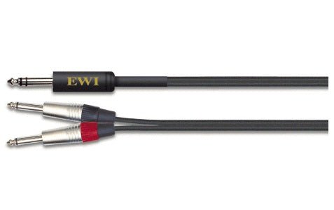 EWI TRS PLUG TO 2 X TS PLUG 10 FT - Music Planet New Zealand