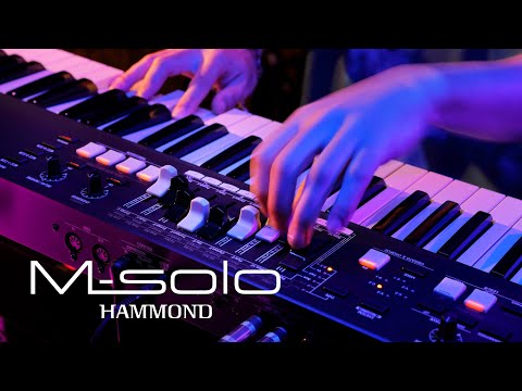 HAMMOND M - SOLO VIRTUAL MULTI - CONTACT KEYBOARD - Music Planet New Zealand