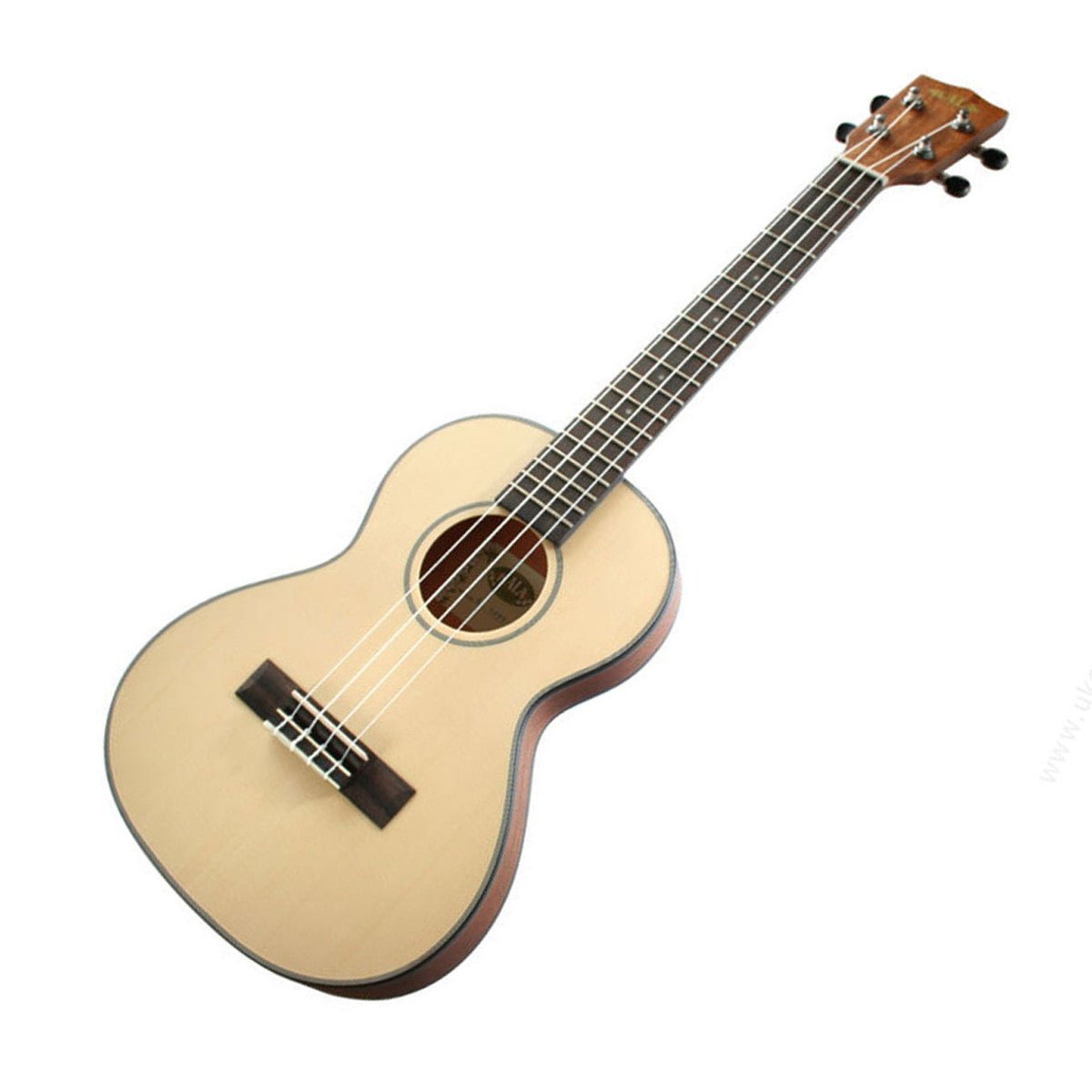 KALA TRAVEL UKULELE CONCERT W/BAG - Music Planet New Zealand