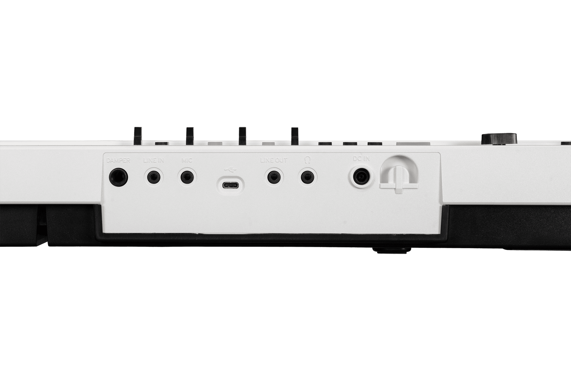 Korg Liano LIVE! Digital Piano - Livestream‑Ready Piano - Music Planet NZ