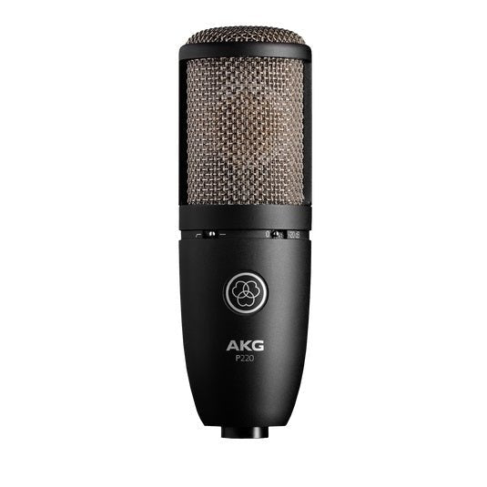LARGE DIAPHRAGM CONDENSER MIC - Music Planet New Zealand