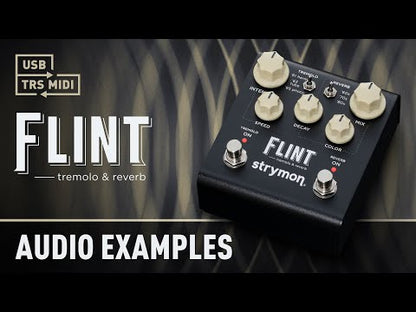 Strymon Flint V2 Tremolo and Reverb Pedal