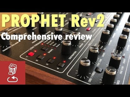SEQUENTIAL PROPHET REV2 8V MODULE - Music Planet New Zealand