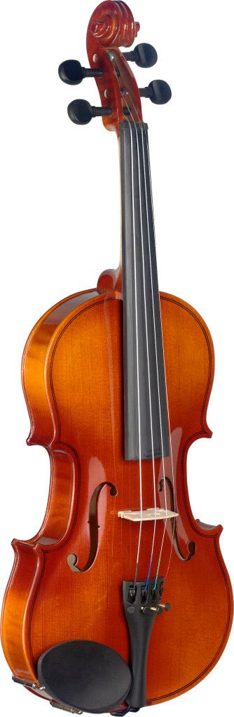 STAGG 3/4 VIOLIN WITH SOFTCASE - Music Planet New Zealand