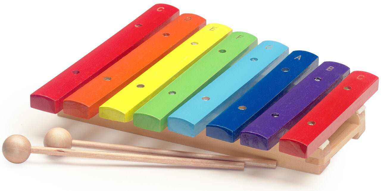 Stagg J8 8 - Note Rainbow Xylophone - Music Planet NZ