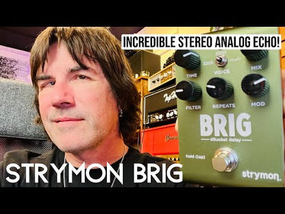 STRYMON BRIG NEW MODEL DBUCKET DELAY PEDAL - Music Planet New Zealand