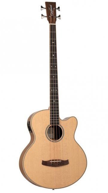 TANGLEWOOD REUNION PRO SUPER JUMBO BASS SOLID TOP - Music Planet New Zealand