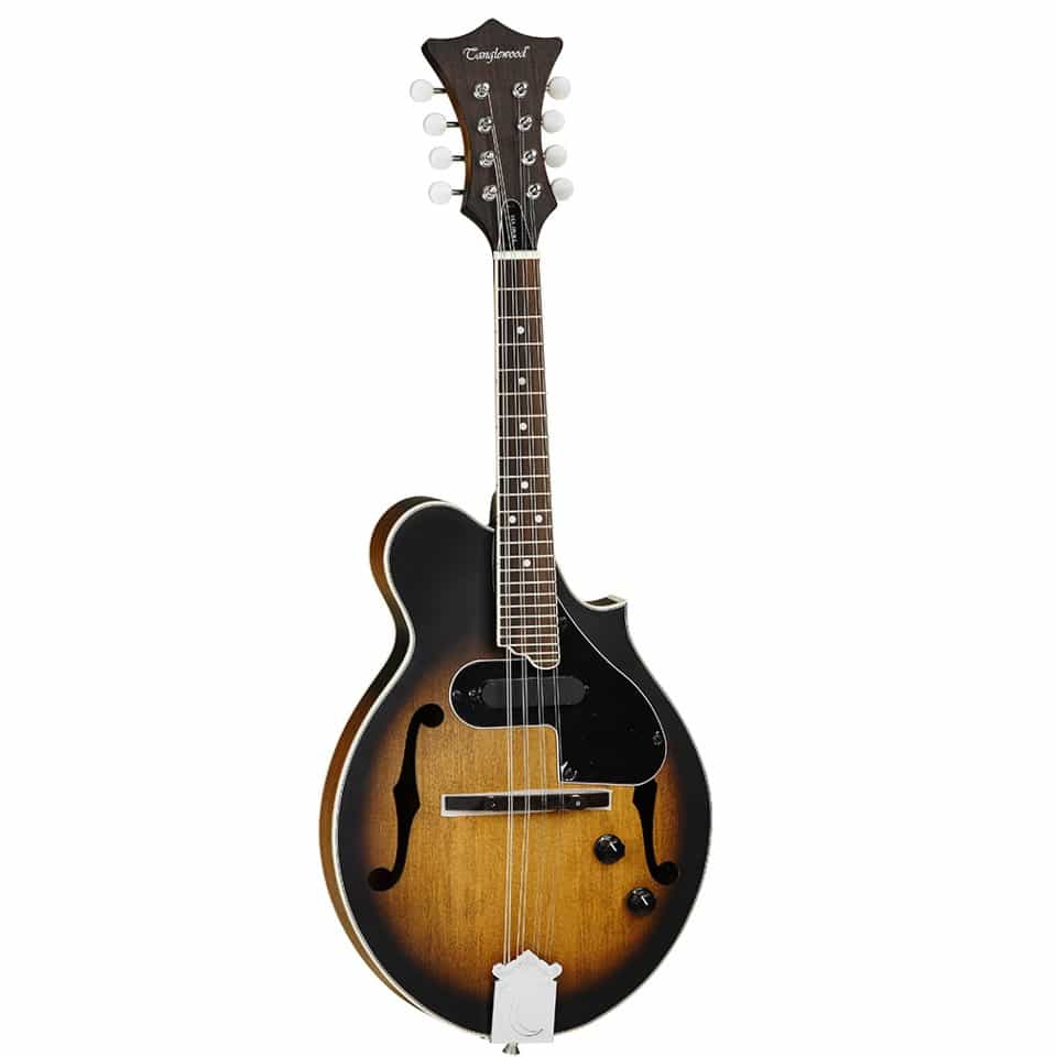 TANGLEWOOD SCROLL STYLE MANDOLIN WITH PI - Music Planet New Zealand
