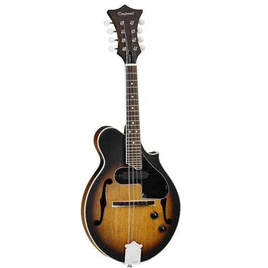 TANGLEWOOD SCROLL STYLE MANDOLIN WITH PI - Music Planet New Zealand