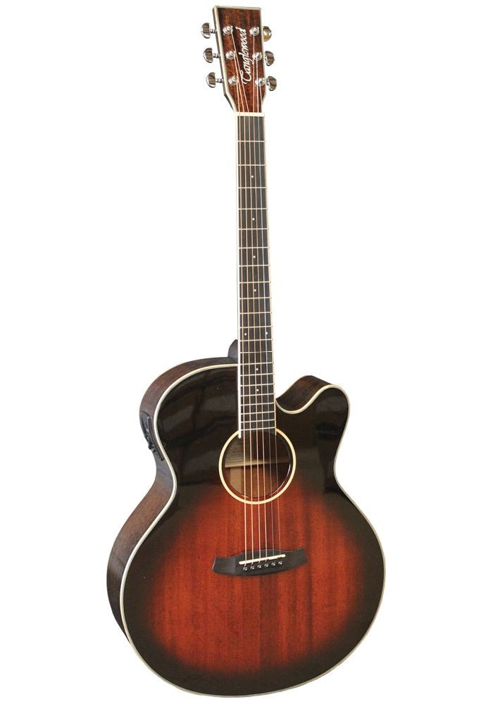 TANGLEWOOD WINTERLEAF SUPER JUMBO WITH C - Music Planet New Zealand