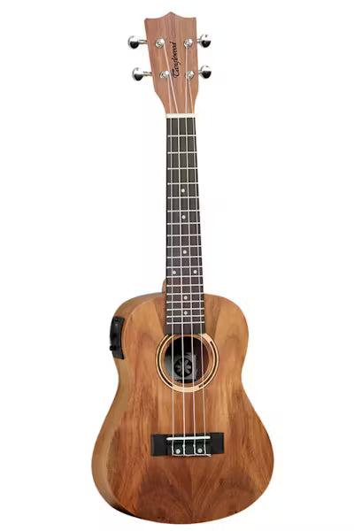 Guitar/Ukulele/Concert
