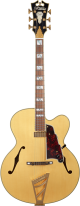 D'angelico Excel EXL1 in natural