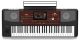 Korg PA700 61-Key Pro Arranger Keyboard