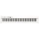 Korg D1 Digital Piano with RH3 Keybed in White