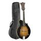Tanglewood Mandolin with Carry Bag Package